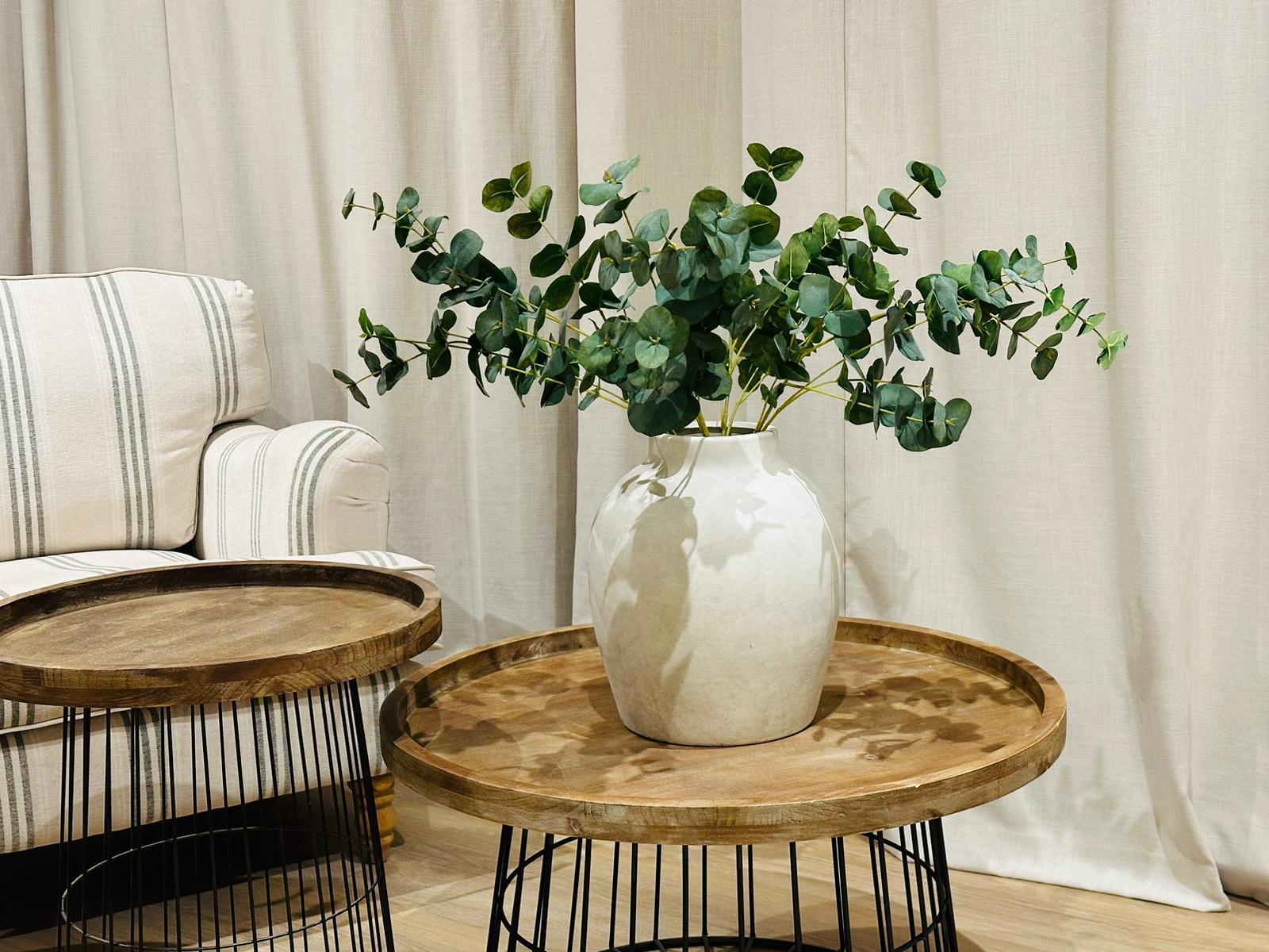 Eucalyptus Stems
